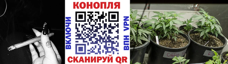 наркошоп  Черноголовка  Марихуана LSD WEED 